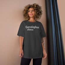 Load image into Gallery viewer, Champion &quot;Correlophus&quot; T-Shirt
