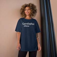 Load image into Gallery viewer, Champion &quot;Correlophus&quot; T-Shirt
